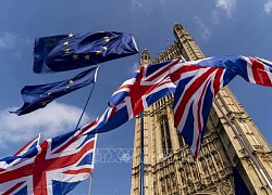 Hàng triệu công dân EU nộp đơn xin ở lại Anh định cư sau Brexit