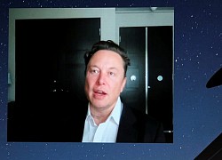 Internet vệ tinh của Elon Musk sẽ có mặt trên toàn cầu từ tháng 8