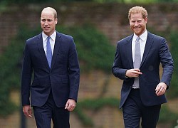 Nóng: Gạt bỏ bất hòa, Hoàng tử William cùng em trai Harry vai kề vai trong lễ khánh thành tượng Công nương Diana