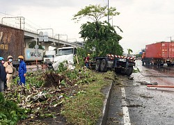 Xe container gây tai nạn liên hoàn trên Xa lộ Hà Nội