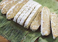 2 Cách làm tempeh bằng lò nướng và nồi áp suất đa năng đơn giản tại nhà