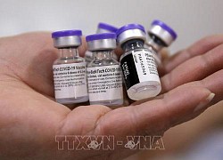 Các thành viên WTO vẫn chia rẽ về vấn đề bản quyền vaccine ngừa COVID-19