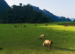 Du lịch Lạng Sơn ghé thăm đình Nông Lục Bắc Sơn hơn 100 tuổi có kiến trúc nhà sàn độc đáo