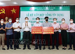 Ký hợp đồng tín dụng và hỗ trợ doanh nghiệp trả lương người lao động