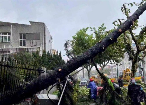 Miền Đông Trung Quốc gồng mình chống bão sau lũ "nghìn năm có một"