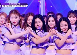 Mnet tung sân khấu chính thức của show sống còn mới: Nguyên dàn xinh như mộng, đến bộ 3 center thì &quot;tụt mood&quot;