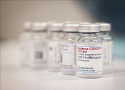 Moderna thông báo chậm cung ứng vaccine cho các nước bên ngoài Mỹ