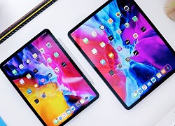 Nên chọn iPad Pro bản 11 inch hay 12,9 inch?