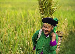 Những sắc màu Hà Giang