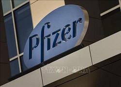 Pfizer dự báo 'bỏ túi' hơn 33 tỷ USD nhờ bán vaccine phòng COVID-19