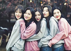 Tình trạng của ReVeluvs hiện tại: Mỏi mòn chờ Red Velvet, "gục ngã" trước visual của Irene