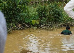 Anh trai chạy đi tìm người cứu em đuối nước nhưng bất thành