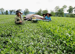 Dồn đổi ruộng đất để phát triển sản xuất nông nghiệp hàng hóa - Bài cuối: Tạo sức hút đầu tư