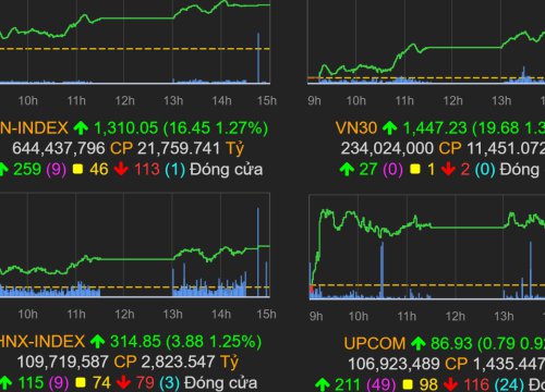 Dòng tiền trở lại, VN-Index vượt 1.310 điểm