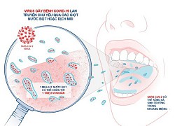 Tìm hiểu thêm biện pháp bảo vệ sức khỏe hiệu quả trong mùa dịch