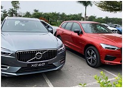 Volvo triệu hồi 5 dòng xe tại Việt Nam, phòng nguy cơ tai nạn