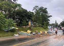 Chùm ảnh Đà Lạt tan hoang sau một trận mưa: Cây cối đổ ngã, nhiều đoạn sạt lở làm du khách nhìn "ảnh online" thôi cũng thót tim