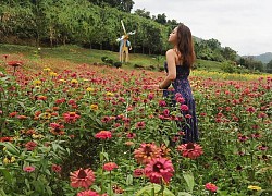 'Đi trốn' ở công viên Yang Bay đắm mình giữa thiên nhiên hoang sơ