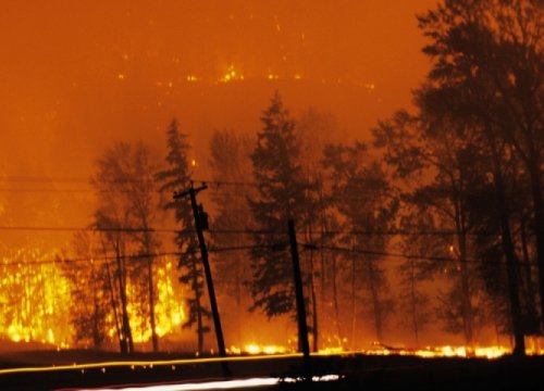 Nắng nóng, cháy rừng tại Mỹ và Canada: Hậu quả rõ ràng của biến đổi khí hậu