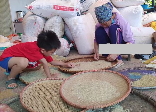 Ông bố Tiến sĩ không chọn Montessori hay Steiner mà chọn lối giáo dục bình dân để dạy con