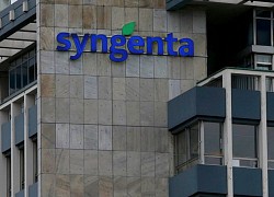 Syngenta dự định huy động 10 tỷ USD thông qua IPO tại Thượng Hải