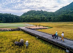 7 cách đơn giản để thu hút du khách sau đại dịch