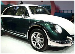 Volkswagen Beetle phiên bản 'nhái' được chấp nhận ở châu Âu