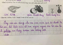 Cô nhóc làm bài văn tả bố, đang viết dở nghề nghiệp bỗng xóa vội khiến chị gái kêu lên: Không biết ai bày cho nữa!