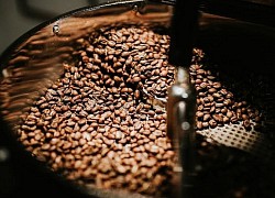 Giá cà phê hôm nay 8/7: Robusta đảo chiều trở lại ngưỡng 1.700 USD, thiếu hụt nguồn cung 'sóng đôi' sức tiêu thụ toàn cầu sụt giảm