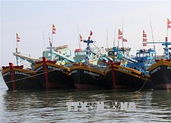 Khắc phục 'thẻ vàng' IUU: Không để tàu cá khai thác trái phép vùng biển nước ngoài