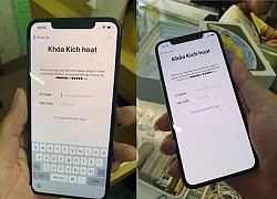 Những loại iPhone bạn không nên mua lúc này