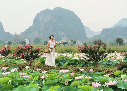 Tam Coc Garden Boutique: Resort mang hình trái tim lọt top 'lên hình đẹp nhất thế giới'