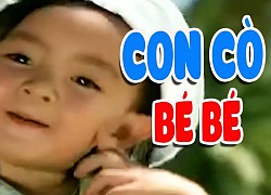 Tên thật của bài hát "con cò bé bé, nó đậu cành tre" không phải là Con Cò Bé Bé!