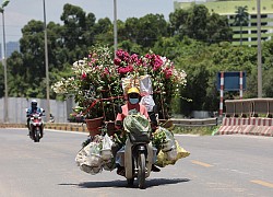 Bắc Bộ trời nắng, Nam Tây Nguyên và Nam Bộ có mưa rào và dông