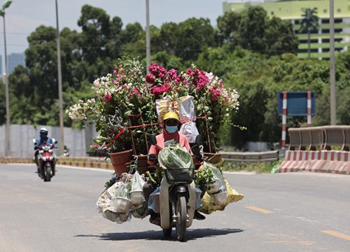 Bắc Bộ trời nắng, Nam Tây Nguyên và Nam Bộ có mưa rào và dông