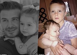 Cả gia đình Beckham xúm xít chúc mừng sinh nhật lần thứ 10 của con gái út Harper