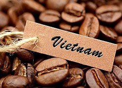 Giá cà phê hôm nay 10/7: Robusta bật tăng mạnh, arabica chịu lực bán áp đảo; Covid-19 'đe dọa' hoạt động xuất khẩu từ Việt Nam