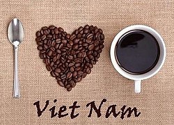 Giá cà phê hôm nay 11/7: Diễn biến robusta nằm ngoài dự báo, Tây Ban Nha giảm nhập từ Việt Nam, tăng hàng Indonesia