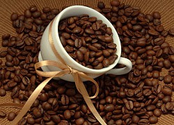 Giá cà phê hôm nay 12/7: Robusta lập đỉnh mới, đà tăng còn rất lớn