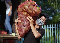 Người dân Đắk Lắk gửi 75 tấn nông sản vào TP.HCM