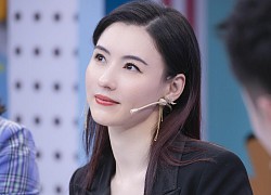 Trương Bá Chi được nhiều đàn ông 'ăn đứt' Tạ Đình Phong theo đuổi?