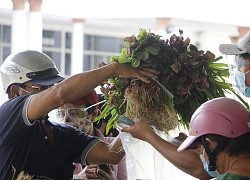 Cần Thơ đã có điểm bán hàng bình ổn giá