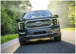 Ford từ bỏ động cơ diesel trên chiếc F-150