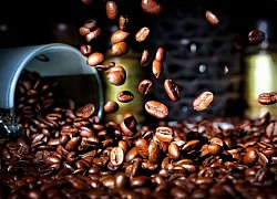 Giá cà phê hôm nay 13/7: &#8216;Giải mã&#8217; hiện tượng giá đảo trên sàn robusta, arabica tăng trở lại; Bóng ma Covid-19 vẫn ám ảnh thị trường