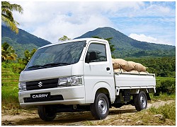 Suzuki Carry Pro: Lựa chọn xe tải nhẹ sáng suốt, ổn định kinh tế lâu dài