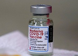 Nhật công bố nghiên cứu tác dụng phụ sau tiêm vaccine Moderna