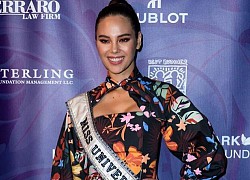 Những lần Hoa hậu Catriona Gray bị chê ngoại hình