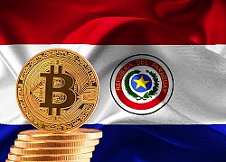 Paraguay sẽ là nước thứ hai hợp pháp hóa Bitcoin?