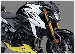 Suzuki GSX-S750 2021 thêm màu mới, giá 255 triệu đồng