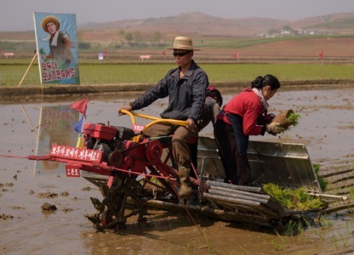 Triều Tiên thiếu lương thực tồi tệ nhất thập kỷ